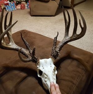 Meet your Posher, Brent